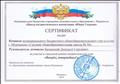 Сертификат за участие в городской военно-патриотической игре "Вперед, юнармейцы!"